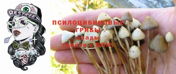 альфа пвп Алексеевка