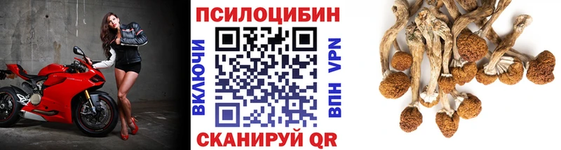 Галлюциногенные грибы прущие грибы  даркнет сайт  Новосибирск 